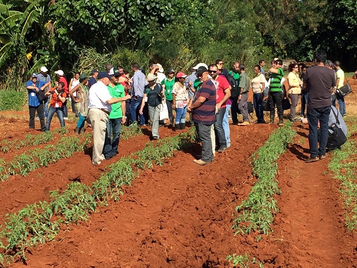 Hazera participó en el III Congreso Cubano de Horticultura